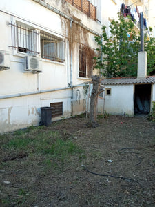 95 Avenue Aristide Briand 66000 PERPIGNAN GAINE D'EXTRACTION                                                                   60M2 RDC + 40M2 SS + 60M2 JARDIN